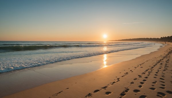 Que faire à Hossegor ?