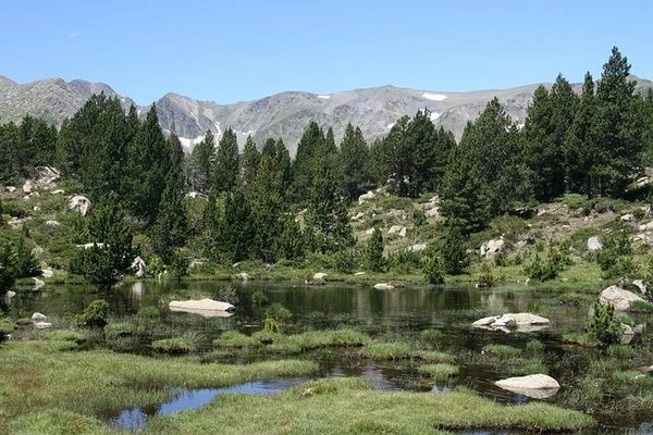 Top 10 des Meilleurs Campings des Landes pour des Vacances Inoubliables